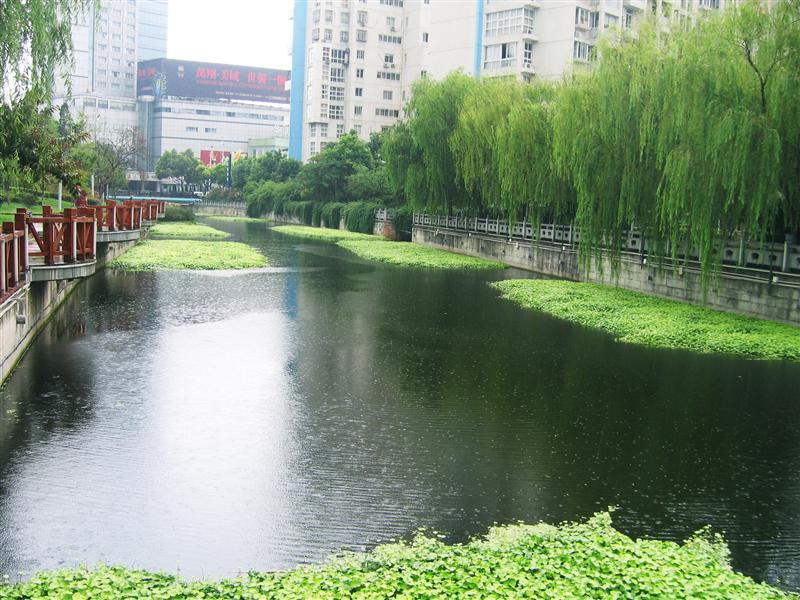 自然水體(tǐ).jpg