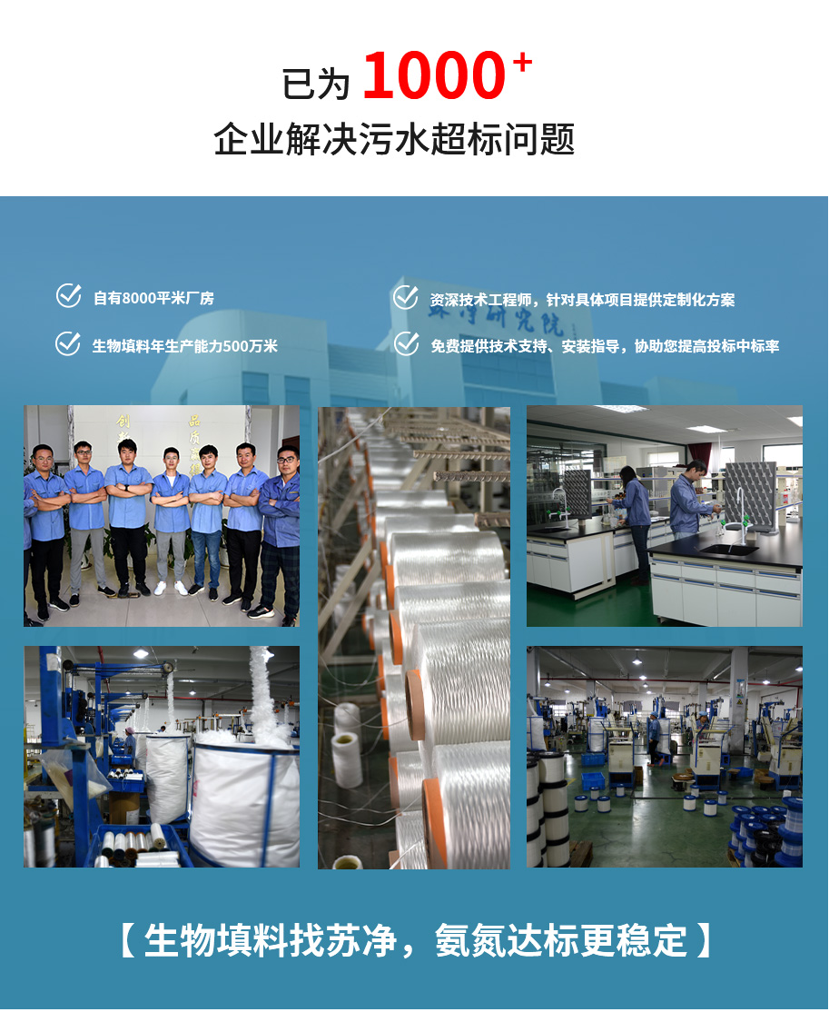 生物(wù)填料厂家.png 苏净优势.png