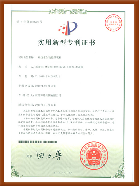 实用(yòng)新(xīn)型-一种废水生物(wù)处理(lǐ)填料