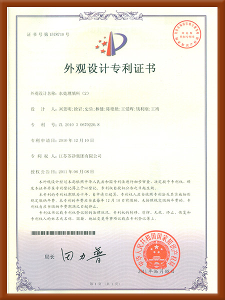 外观-水处理(lǐ)填料2