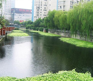 自然水體(tǐ)修复
