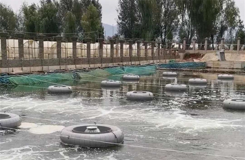 昆明滇池某水草(cǎo)填料案例